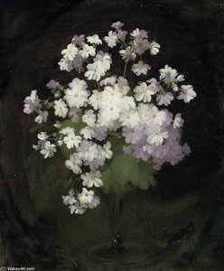 White Violas In A Vase — James Stuart Park