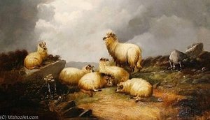 Sheep In A Highland Landscape
