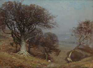 Beeches On The Quantocks — Benjamin Haughton