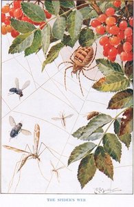 The Spider's Webb — Louis Fairfax Muckley