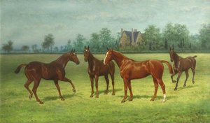 'lockey', 'lady Abbess', 'beatrice' And 'mahomet' Four Horses In A Field — Thomas Hall