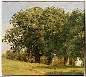 A LA VILLA BORGHESE CHEMIN BORDE D'ARBRES