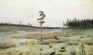 The Moss