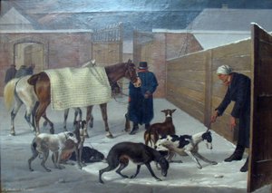 Return from the chase