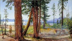 Lake Tahoe, California — Marianne North