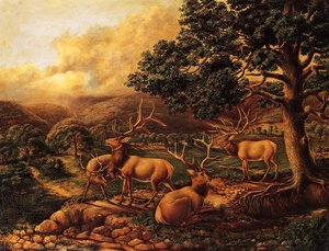 Four Elk — Titian Ramsay Peale Ii