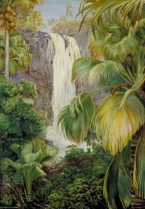 Waterfall In The Gorge Of The Coco De Mer, Praslin — Marianne North, Victorian Botanical Art