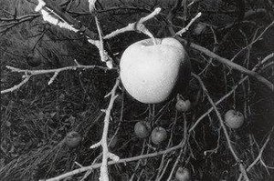 Untitled (larksville, Pennsylvania) — Mark Cohen