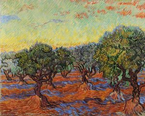 Olivskog I Saint-rémy, Gkm — Vincent Willem Van Gogh
