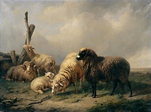 Un Pâturage — Eugène Joseph Verboeckhoven