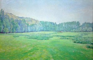 Meadow — Vaclav Radimsky