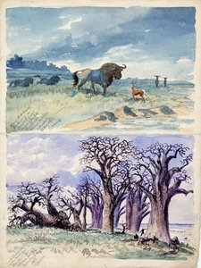 Blauive Wildebeest Kookoong — Thomas Baines