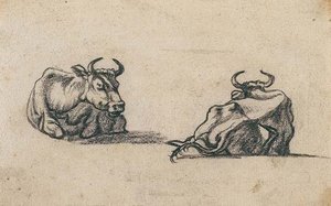 Study, Two Cows 1 — Aelbert Jacobsz Cuyp