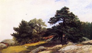 Study For Trees On The Beverly Coast — John Frederick Kensett