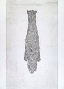 Untitled from White Mammals (4)
