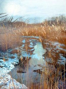 Bulrushes In Winter — Ian John Hornak