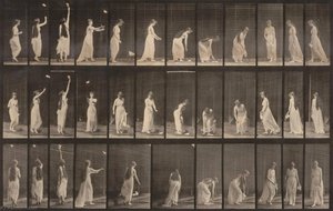 Woman Throwing Handkerchief In Air, Picking It Up, From The Book Animal Locomotion — Eadweard J Muybridge