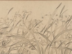 Narcissus — Chao Meng-chien