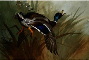Winged — Archibald Thorburn