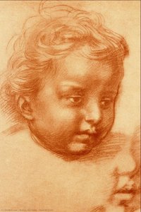 Head Of Child — Andrea Del Sarto, High Renaissance