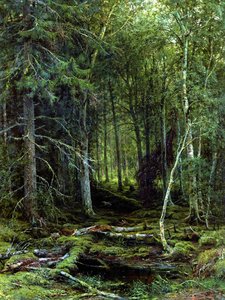 Backwoods — Ivan Ivanovich Shishkin