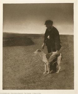 The Poacher - A Hare In View — Peter Henry Emerson