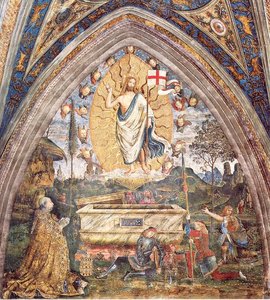 Untitled (892) — Pinturicchio