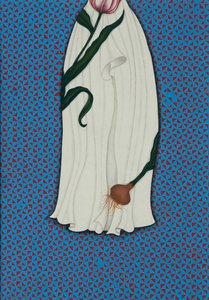 From The — Aisha Khalid