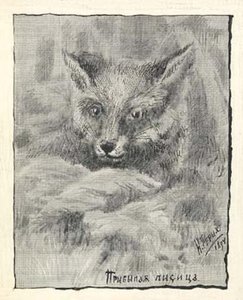 Young Fox — Nicholas Roerich