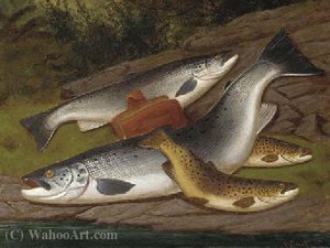 Salmon, Grilse And Brown Trout — A. Roland Knight