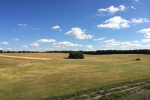 The Alcarria Countryside: Scent And Feeling — Laura Domínguez