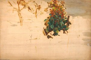 Apple Tree — Benjamin Haughton