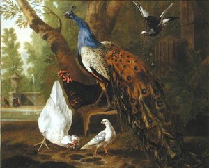 An Assembly Of Birds In A Classical Park, — Pieter Casteels Iii