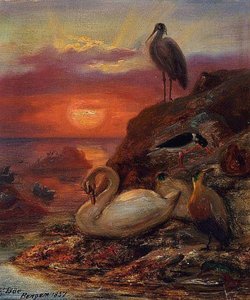 Birds In The Midnight Sun — Frants Bøe