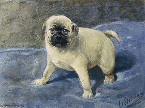 A Mastiff On A Cushion — Otto Eerelman