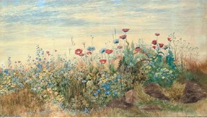 A Flowerbank With Poppies, Harebells And Marigolds — Andrew Nicholl