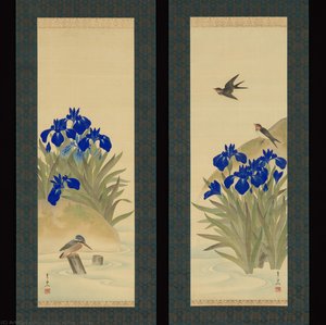 Irises