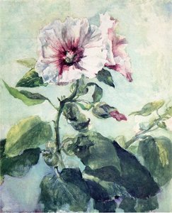 Study Of Pink Hollyhock In Sunlight, From Nature — John La Farge