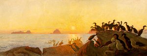 Cormorants In The Midnight Sun — Thorolf Holmboe