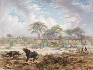 The Death Shot — Thomas Baines