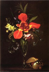 Vase Of Flowers And A Shell — Paul Lacroix