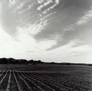Leavenworth County, from the Kansas Documentary Survey Project