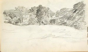 House And Woods — John Ottis Adams