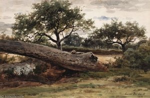 Fallen Trees