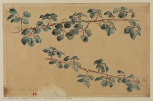 Two Branches With Leaves — Eugène Delacroix