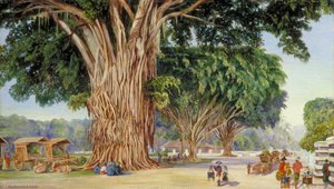 The Great Square Of Malang, Java — Marianne North