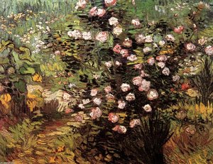 Rosebush In Blossom — Vincent Willem Van Gogh