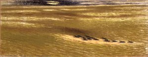 River Crossing — Akino Fuku