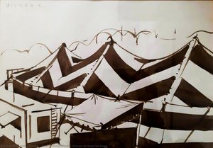 The Bellucci Water Circus Arrived To Town — Alfred Freddy Krupa