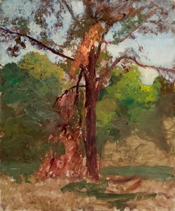 A Tree — Theodore Clement Steele